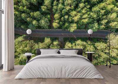 Aerial view of the road in the summer forest with green high pine or spruce trees. Wall mural