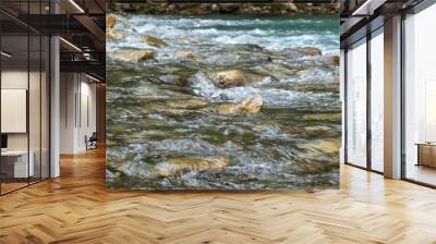 Fast mountain stream with rocky shores. Wall mural