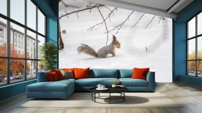 The squirrel in winter sits on white snow. Wall mural