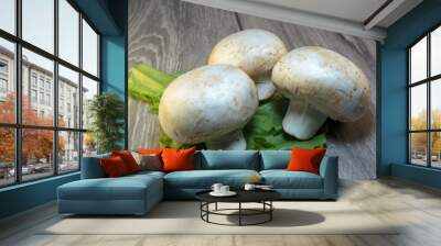 Raw champignons ready for cooking. Fresh mushrooms, as a concept of a diet or vegetarian food. Wall mural