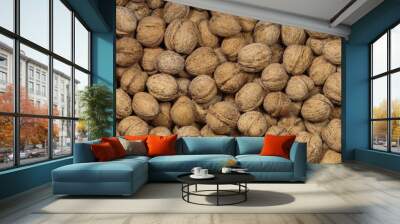 Walnut heap closeup. Vegan food. Concept of healthy food. Wall mural