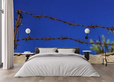 barbed wire on blue sky background Wall mural