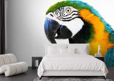 parrot Wall mural