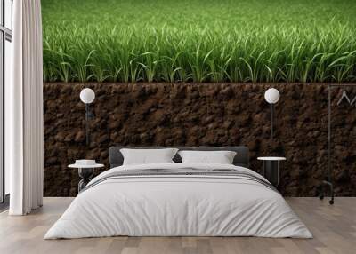 A close-up view show cross-section of grass growing in soil Wall mural