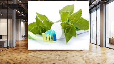 toothbrush, toothpaste and fresh leaves of mint Wall mural