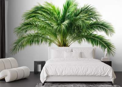 Palm tree isolated on the white background. AI generative image. Wall mural