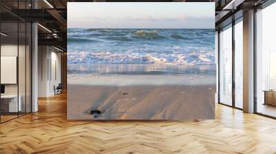 the waves of the sea on the sandy beach on a sunny day Wall mural