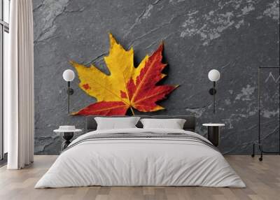 Single red and yellow maple leaf on grey slate background Wall mural