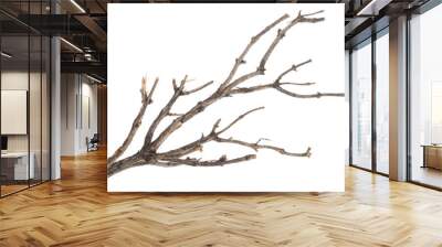 dry tree branch Wall mural