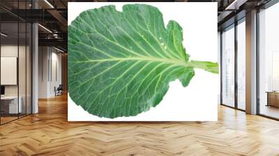 Fresh green cabbage leaf Wall mural