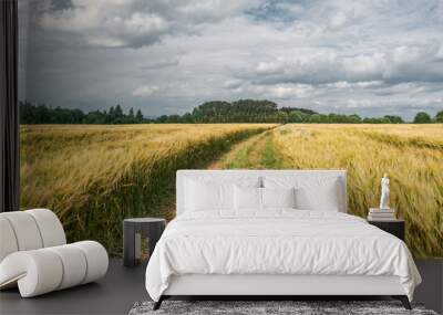 Dirt road through a barley field on a cloudy day in summer Wall mural