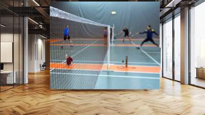 Net in the gym during the game of badminton Wall mural