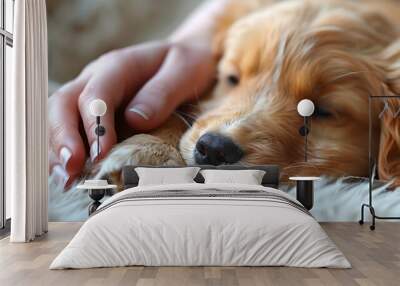 A golden retriever puppy is snoozing softly on a fluffy surface, while a hand tenderly rests on the puppy's fur, creating a warm and comforting atmosphere Wall mural