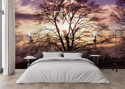 sunset and tree Wall mural