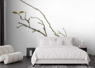 branch with leaves Wall mural