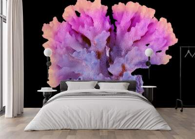 Coral isolated on black background Wall mural