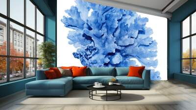 coral isolated on white background Wall mural