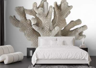 coral Wall mural