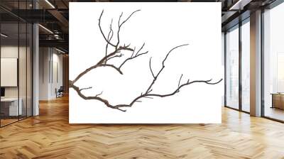 Dry branch isolated on white background Wall mural