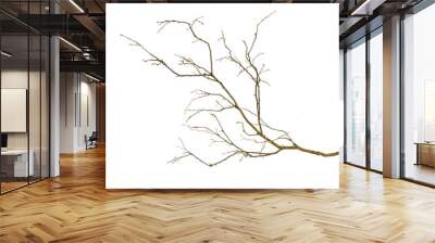 dry branch Wall mural