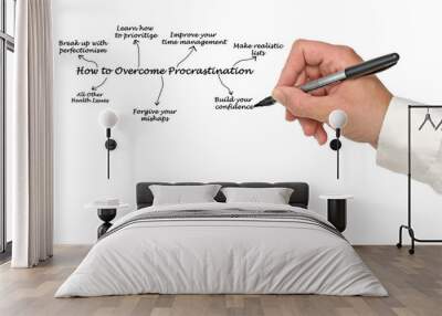 Explaining How to Overcome Procrastination Wall mural