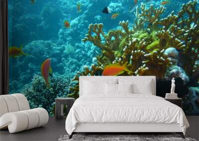 fish Wall mural