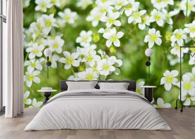 forget-me-nots Wall mural