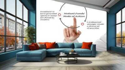 how do mutual funds work? Wall mural