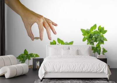 Investing to green business Wall mural