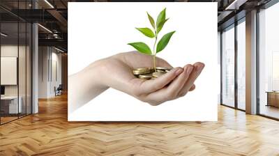 investing to green business Wall mural