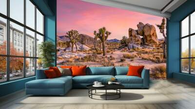 Joshua Tree and Joshua Tree Park during sunset Wall mural