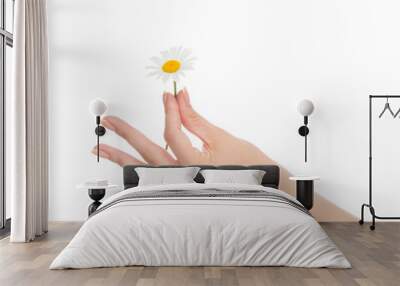 woman hand french manicure with chamomile daisy flowers Wall mural