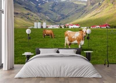 Icelandic dairy farm Wall mural