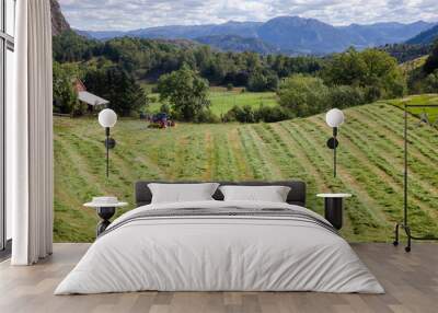 Summer rural landscape with tractor making windrows of freshly cut hay a field in Norway Scandinavia Wall mural