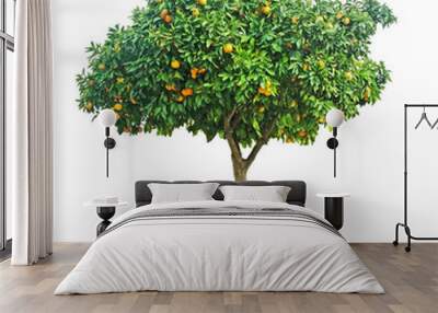 Orange tree on white background Wall mural