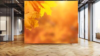 the beautiful autumn wood is shown Wall mural