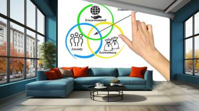 Presentation of diagram of sustainability Wall mural