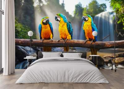 Blue-and-Yellow Macaw Ara ararauna Wall mural