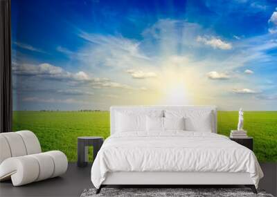 Field of green fresh grass under blue sky Wall mural