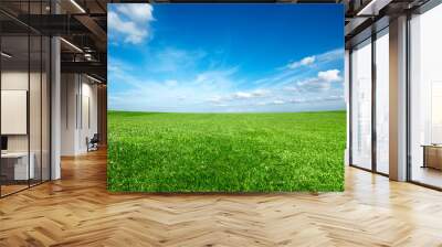 Field of green fresh grass under blue sky Wall mural