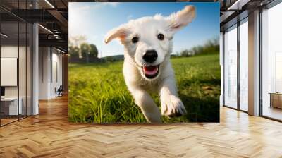 Joyful Puppy Playing Outdoors in Sunny Weather Wall mural