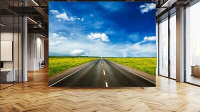 Travel concept background - an empty road with a blue sky and blooming green spring fields on either side Wall mural