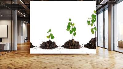 Saplings on white background Wall mural