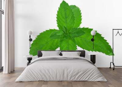 Several bright green mint leaves per stem Wall mural