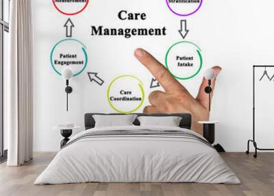 Six Components of Care Management. Wall mural