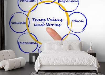 team values and norms Wall mural