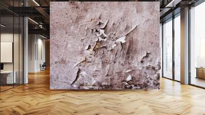 Texture of a wall damaged by fungal diseases. The destruction of the plaster due to exposure to moisture and mold. flat lay frame Wall mural