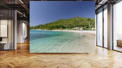 Saint Vincent and the Grenadines, Adams Bay, Bequia Wall mural