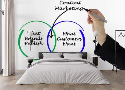 Two determinals of Content Marketing Wall mural