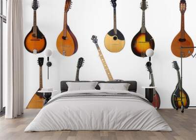 mandolin Wall mural